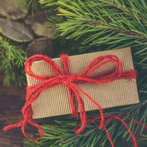Image of a christmas gift for a gift giving guide